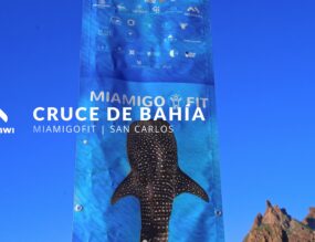 mi amigo fit san carlos bahia