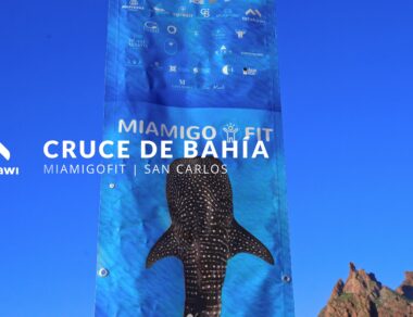 mi amigo fit san carlos bahia