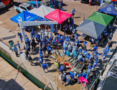 Torneo San Carlos Jurel Pesca